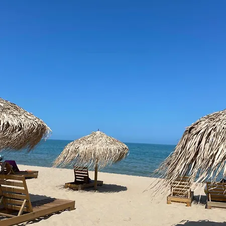 In Long * Shkorpilovtsi